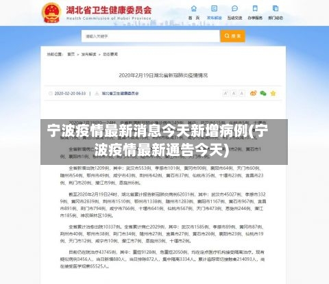 宁波疫情最新消息今天新增病例(宁波疫情最新通告今天)-第2张图片
