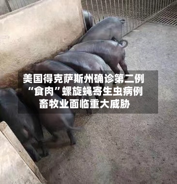 美国得克萨斯州确诊第二例“食肉	”螺旋蝇寄生虫病例 畜牧业面临重大威胁-第2张图片