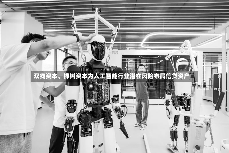 双线资本、橡树资本为人工智能行业潜在风险布局信贷资产-第3张图片