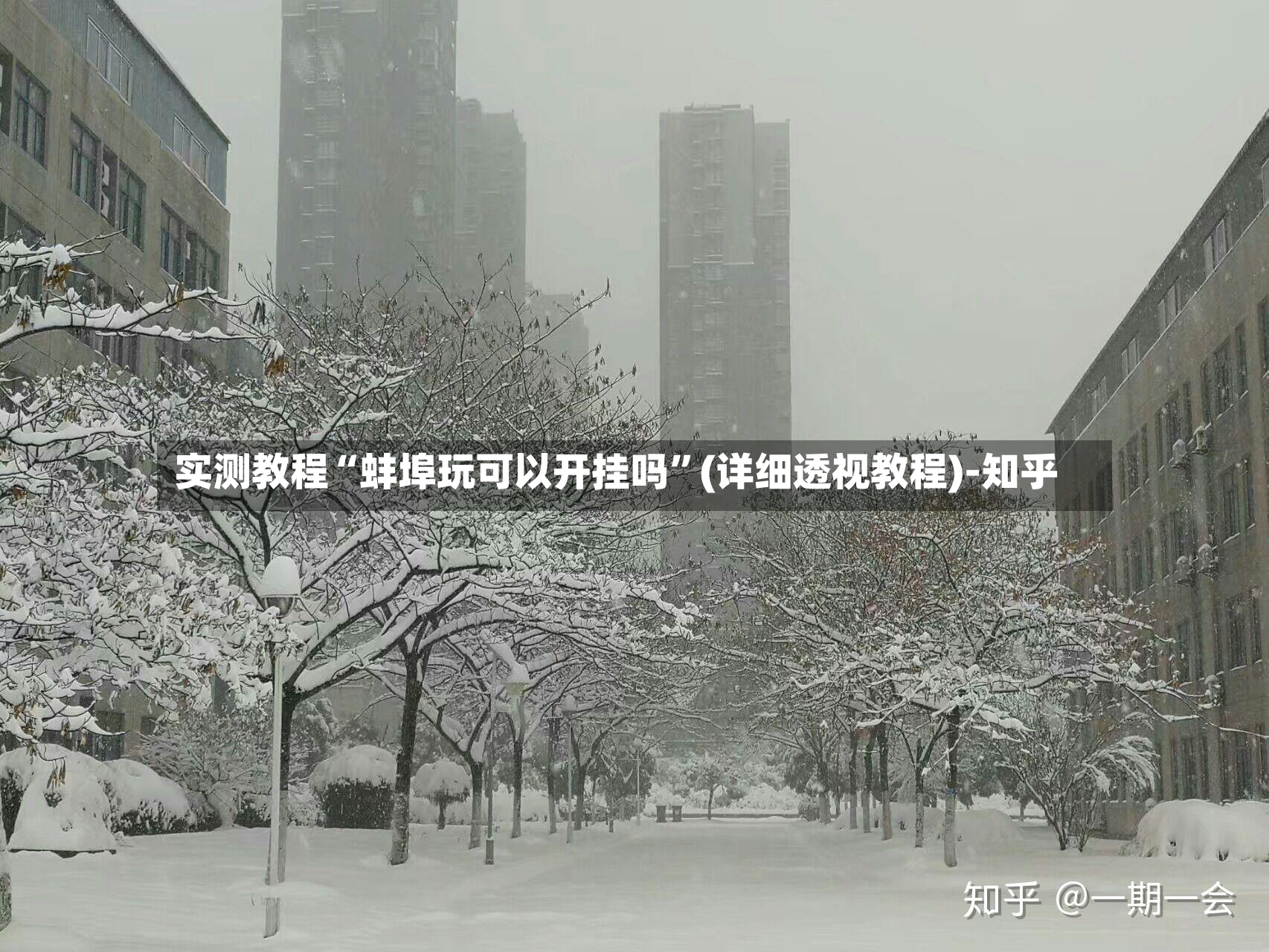 实测教程“蚌埠玩可以开挂吗”(详细透视教程)-知乎-第3张图片