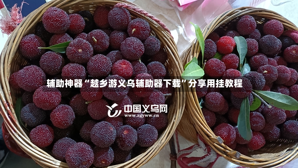 辅助神器“越乡游义乌辅助器下载	”分享用挂教程-第2张图片