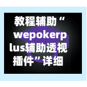教程辅助“wepokerplus辅助透视插件	”详细分享装挂步骤教程-第2张图片
