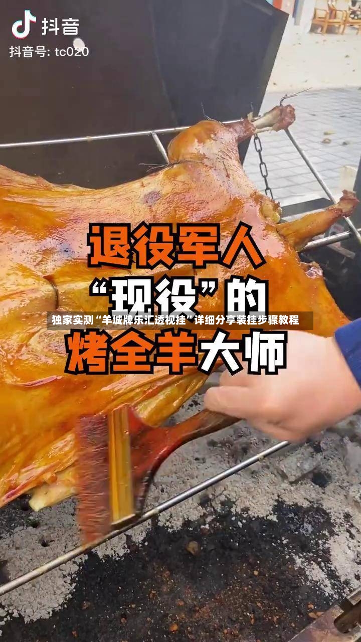 独家实测“羊城牌乐汇透视挂”详细分享装挂步骤教程-第3张图片