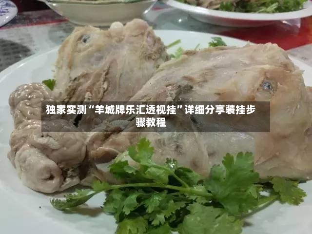 独家实测“羊城牌乐汇透视挂”详细分享装挂步骤教程