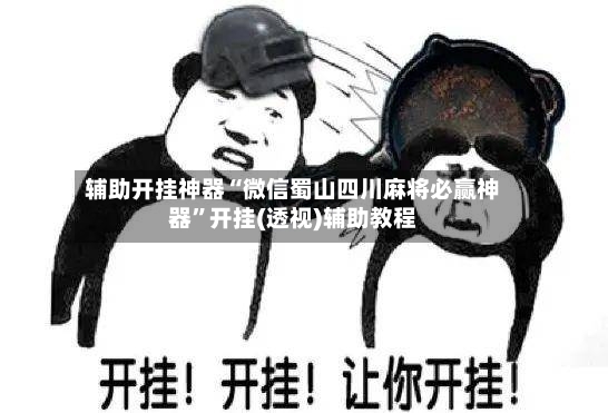 辅助开挂神器“微信蜀山四川麻将必赢神器”开挂(透视)辅助教程-第2张图片