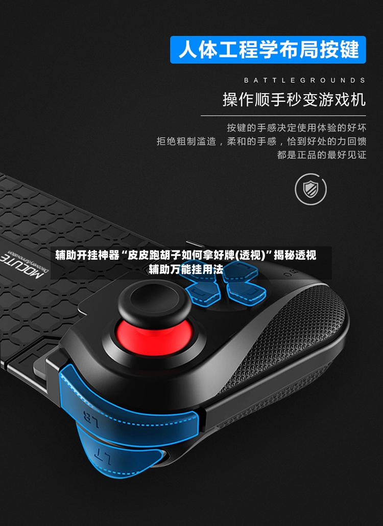 辅助开挂神器“皮皮跑胡子如何拿好牌(透视)”揭秘透视辅助万能挂用法