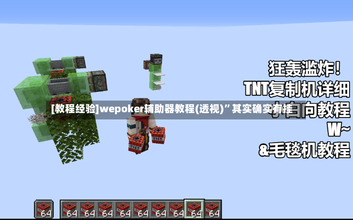 [教程经验]wepoker辅助器教程(透视)	”其实确实有挂-第2张图片