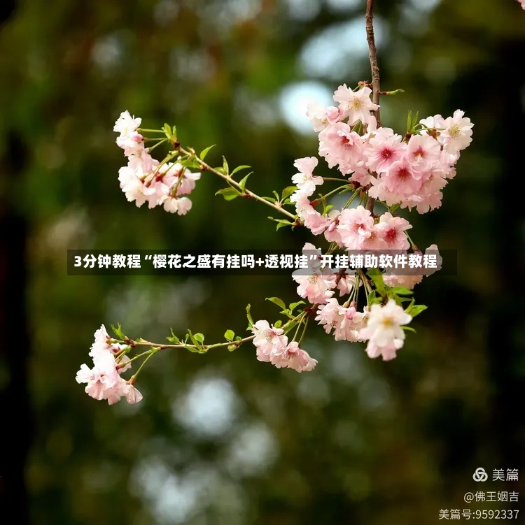 3分钟教程“樱花之盛有挂吗+透视挂”开挂辅助软件教程