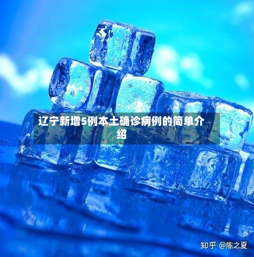 辽宁新增5例本土确诊病例的简单介绍-第2张图片
