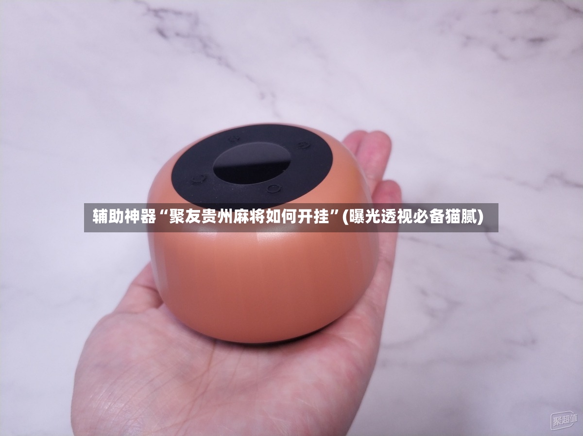 辅助神器“聚友贵州麻将如何开挂	”(曝光透视必备猫腻)-第2张图片