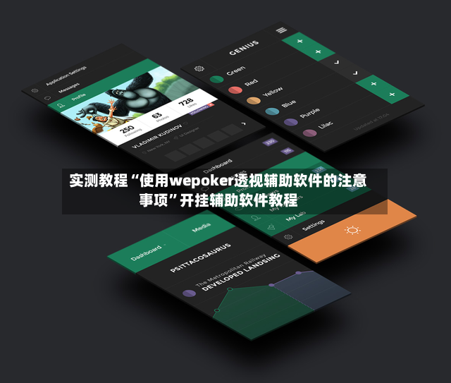 实测教程“使用wepoker透视辅助软件的注意事项”开挂辅助软件教程-第3张图片
