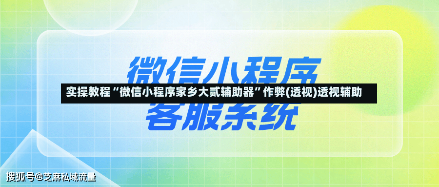 实操教程“微信小程序家乡大贰辅助器”作弊(透视)透视辅助-第2张图片