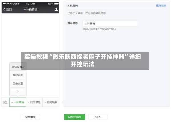 实操教程“微乐陕西捉老麻子开挂神器	”详细开挂玩法-第2张图片