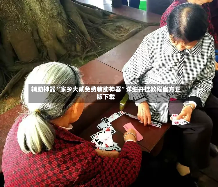 辅助神器“家乡大贰免费辅助神器”详细开挂教程官方正版下载-第2张图片