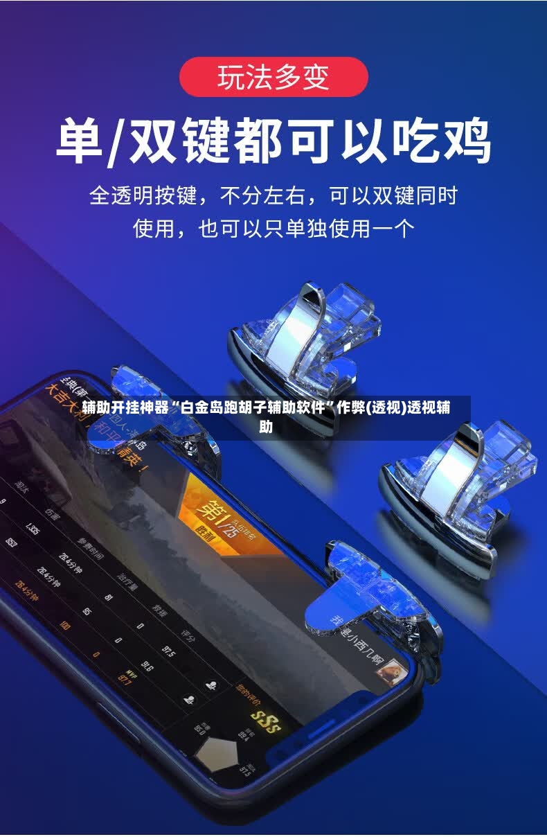 辅助开挂神器“白金岛跑胡子辅助软件”作弊(透视)透视辅助-第2张图片