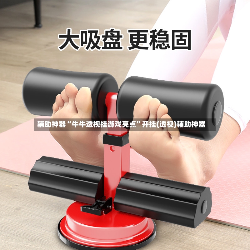 辅助神器“牛牛透视挂游戏亮点”开挂(透视)辅助神器