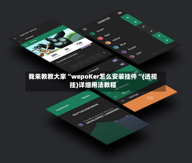 我来教教大家“wepoKer怎么安装挂件“(透视挂)详细用法教程