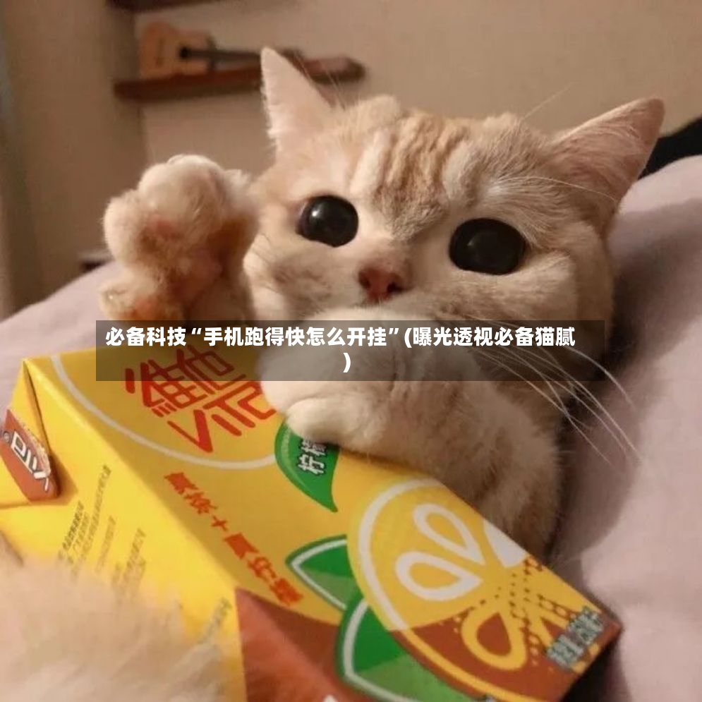 必备科技“手机跑得快怎么开挂”(曝光透视必备猫腻)