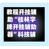 教程开挂辅助“桂林字牌开挂辅助器”科技辅助神器手机版教程-第3张图片