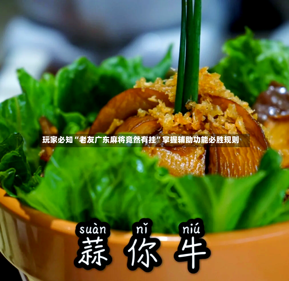 玩家必知“老友广东麻将竟然有挂”掌握辅助功能必胜规则