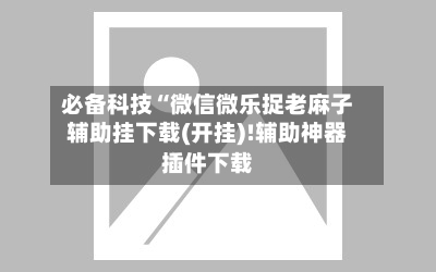 必备科技“微信微乐捉老麻子辅助挂下载(开挂)!辅助神器插件下载-第3张图片