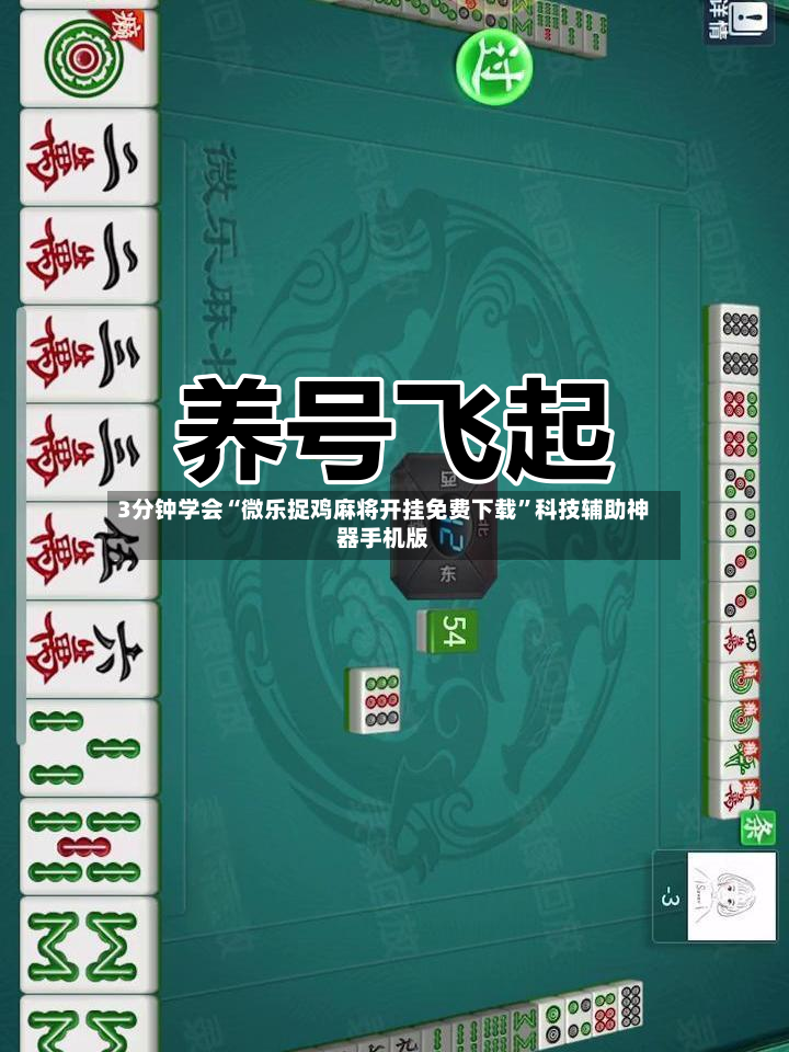 3分钟学会“微乐捉鸡麻将开挂免费下载”科技辅助神器手机版-第3张图片