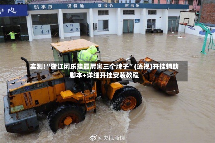 实测!“浙江闲乐挂最厉害三个牌子”(透视)开挂辅助脚本+详细开挂安装教程-第3张图片