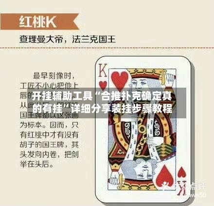 开挂辅助工具“合推扑克确定真的有挂”详细分享装挂步骤教程-第3张图片