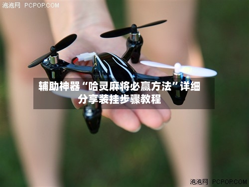 辅助神器“哈灵麻将必赢方法	”详细分享装挂步骤教程-第2张图片