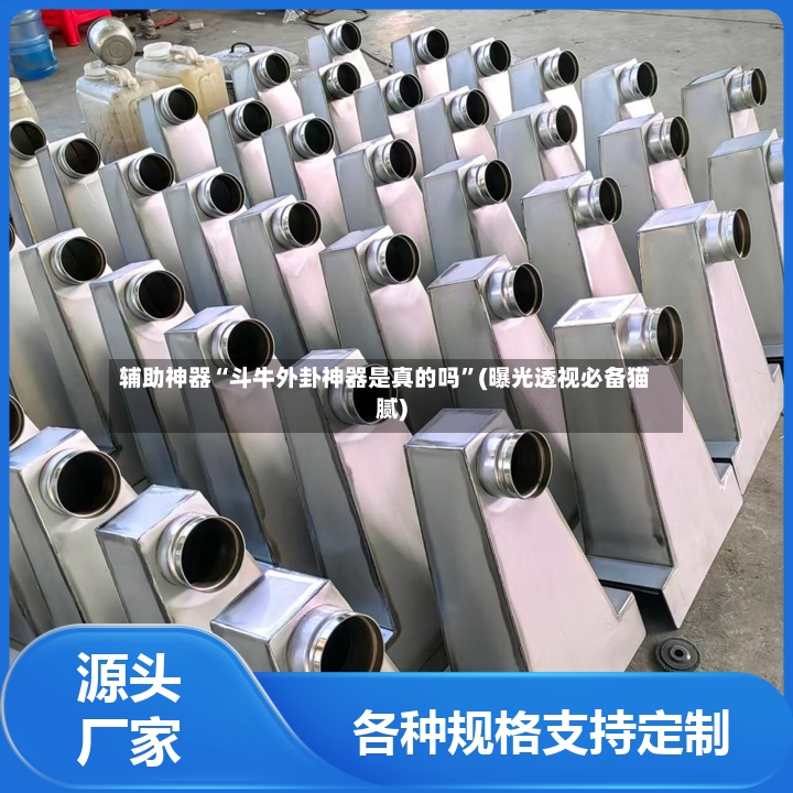 辅助神器“斗牛外卦神器是真的吗”(曝光透视必备猫腻)-第2张图片