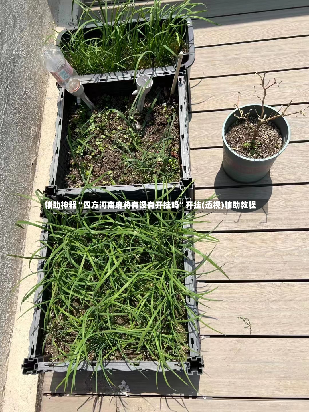 辅助神器“四方河南麻将有没有开挂吗”开挂(透视)辅助教程-第2张图片
