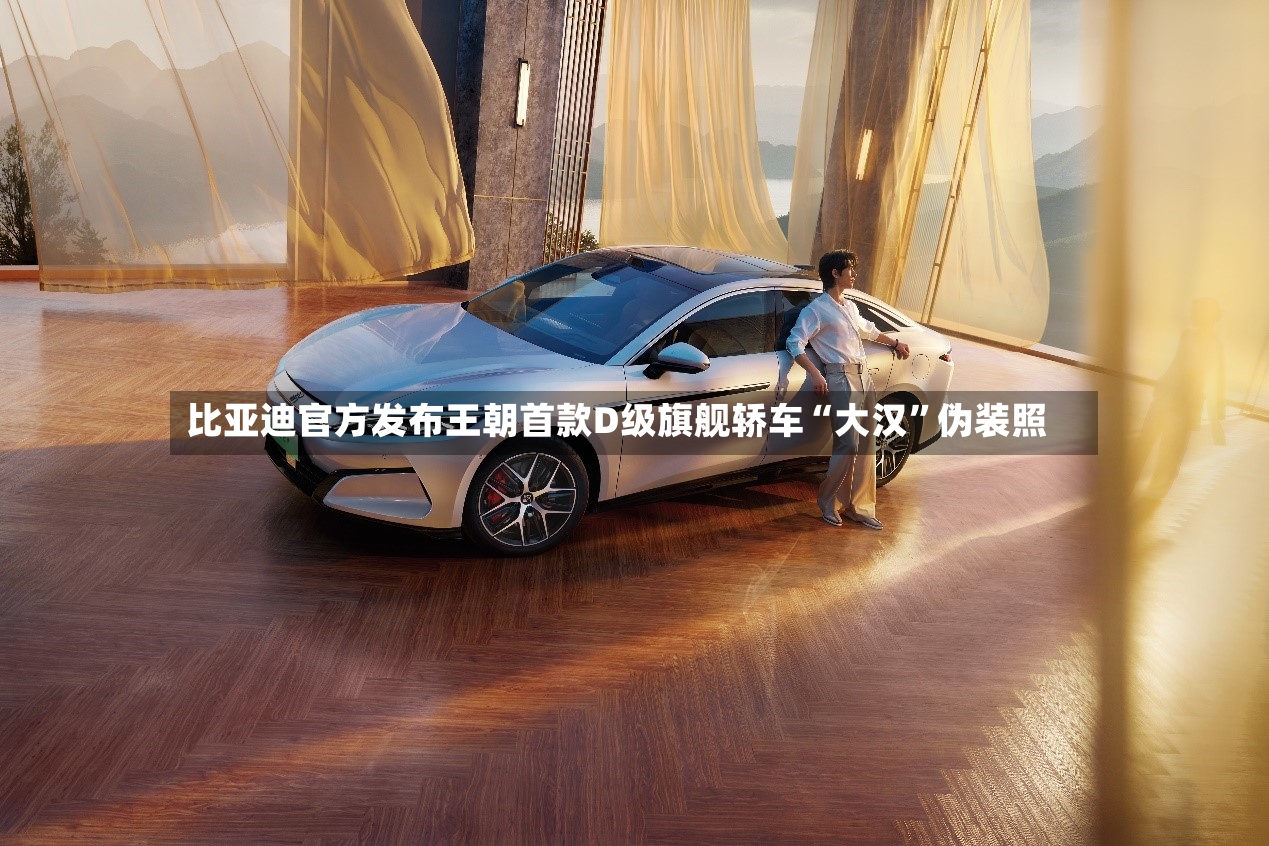 比亚迪官方发布王朝首款D级旗舰轿车“大汉”伪装照-第3张图片