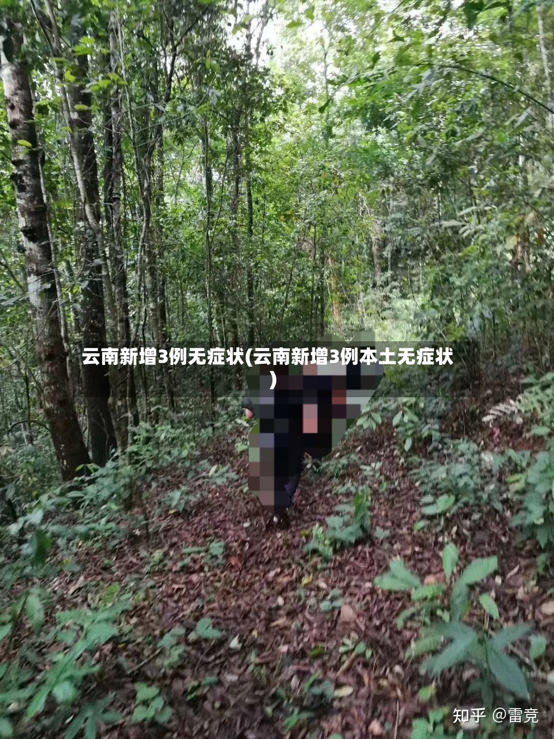 云南新增3例无症状(云南新增3例本土无症状)-第2张图片