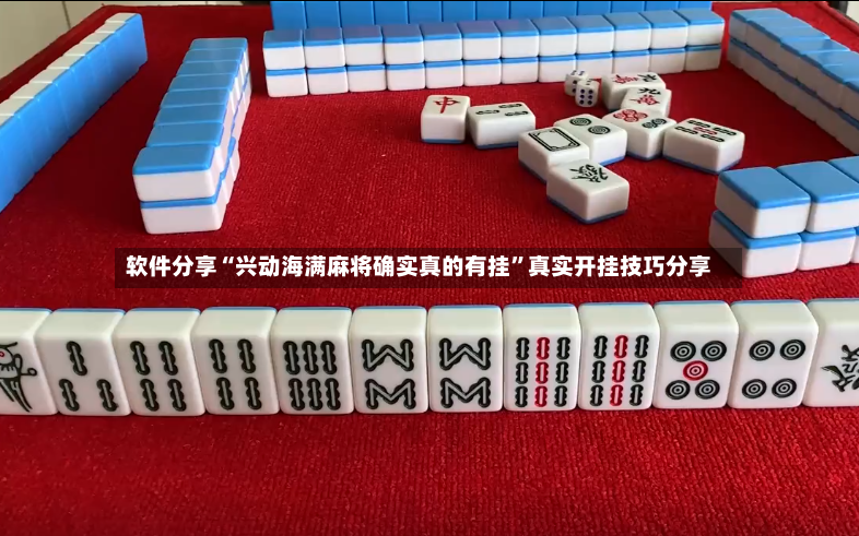 软件分享“兴动海满麻将确实真的有挂”真实开挂技巧分享-第3张图片