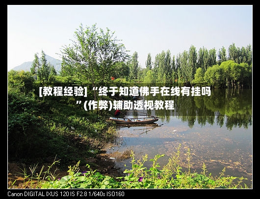 [教程经验] “终于知道佛手在线有挂吗”(作弊)辅助透视教程