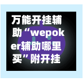 万能开挂辅助“wepoker辅助哪里买”附开挂脚本详细步骤