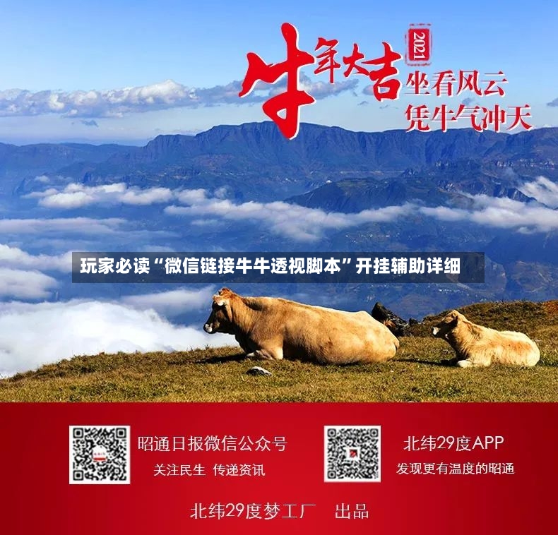 玩家必读“微信链接牛牛透视脚本”开挂辅助详细-第3张图片