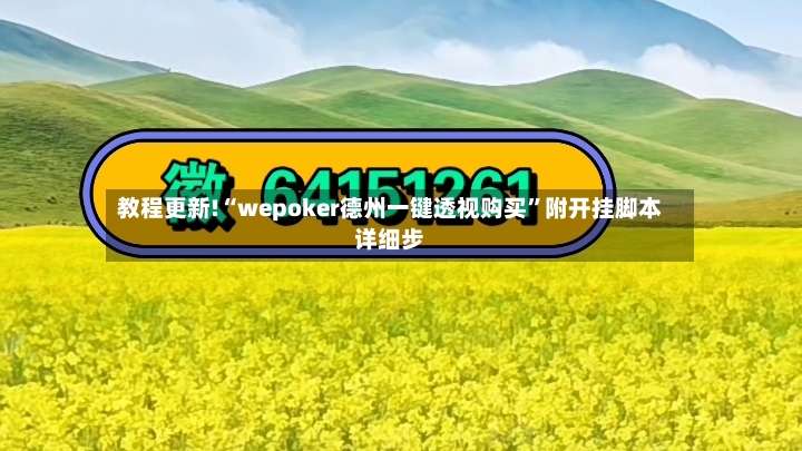 教程更新!“wepoker德州一键透视购买”附开挂脚本详细步