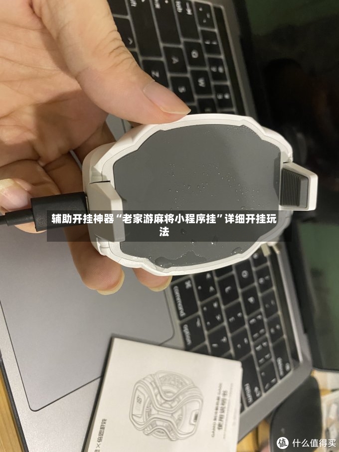 辅助开挂神器“老家游麻将小程序挂	”详细开挂玩法-第2张图片