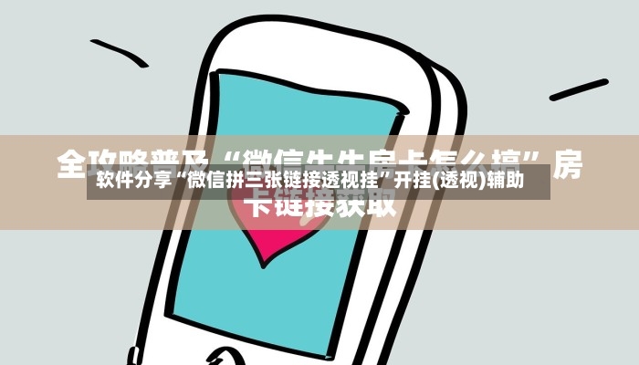 软件分享“微信拼三张链接透视挂”开挂(透视)辅助-第2张图片