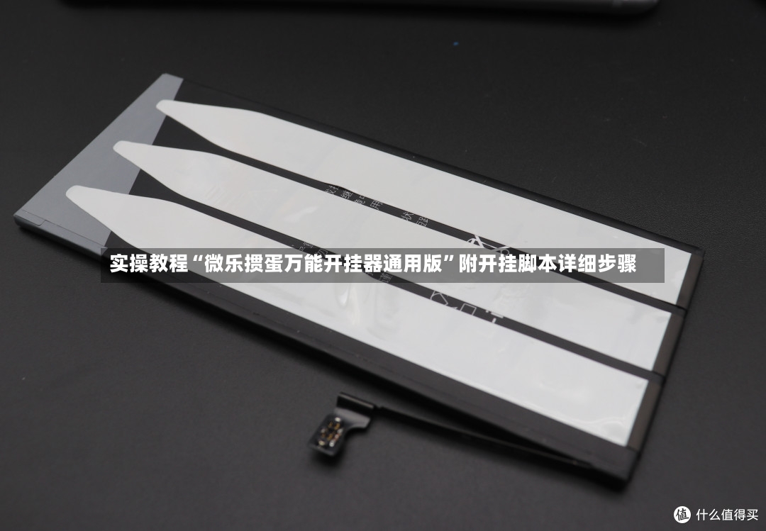 实操教程“微乐掼蛋万能开挂器通用版	”附开挂脚本详细步骤-第2张图片