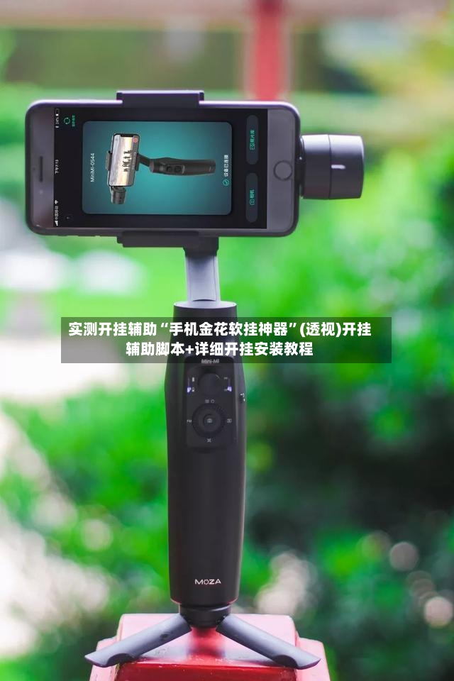 实测开挂辅助“手机金花软挂神器”(透视)开挂辅助脚本+详细开挂安装教程-第2张图片