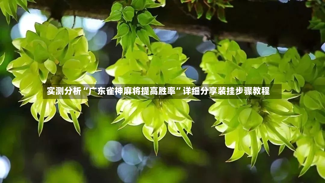 实测分析“广东雀神麻将提高胜率	”详细分享装挂步骤教程-第2张图片