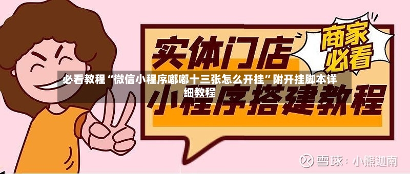 必看教程“微信小程序嘟嘟十三张怎么开挂”附开挂脚本详细教程-第2张图片