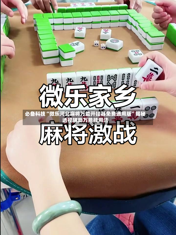 必备科技“微乐河北麻将万能开挂器免费通用版”揭秘透视辅助万能挂用法-第2张图片