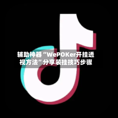 辅助神器“WePOKer开挂透视方法”分享装挂技巧步骤-第2张图片
