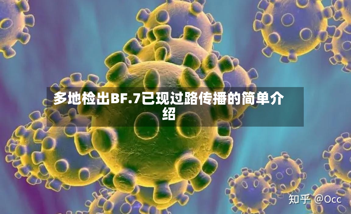 多地检出BF.7已现过路传播的简单介绍-第3张图片