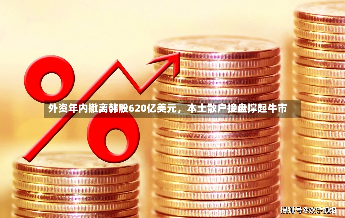 外资年内撤离韩股620亿美元	，本土散户接盘撑起牛市-第3张图片