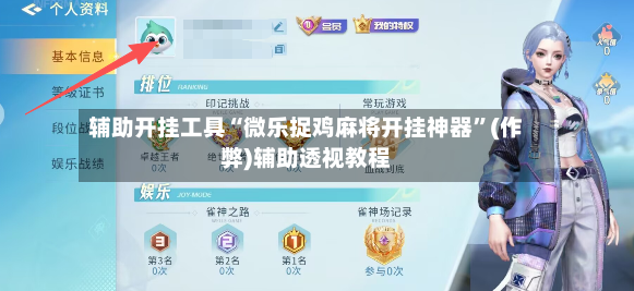 辅助开挂工具“微乐捉鸡麻将开挂神器”(作弊)辅助透视教程-第3张图片