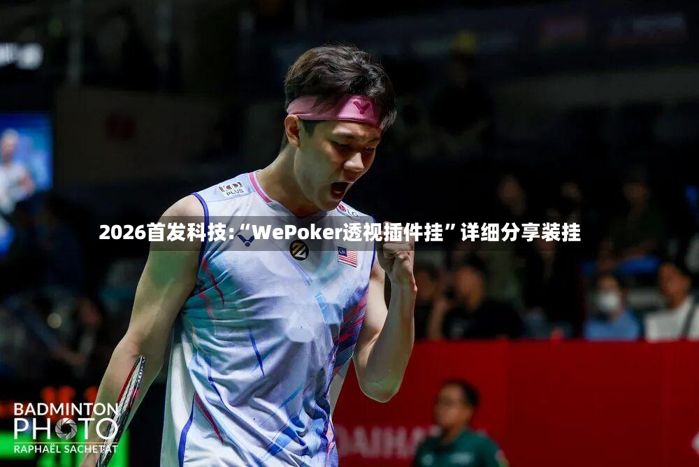 2026首发科技:“WePoker透视插件挂”详细分享装挂-第2张图片